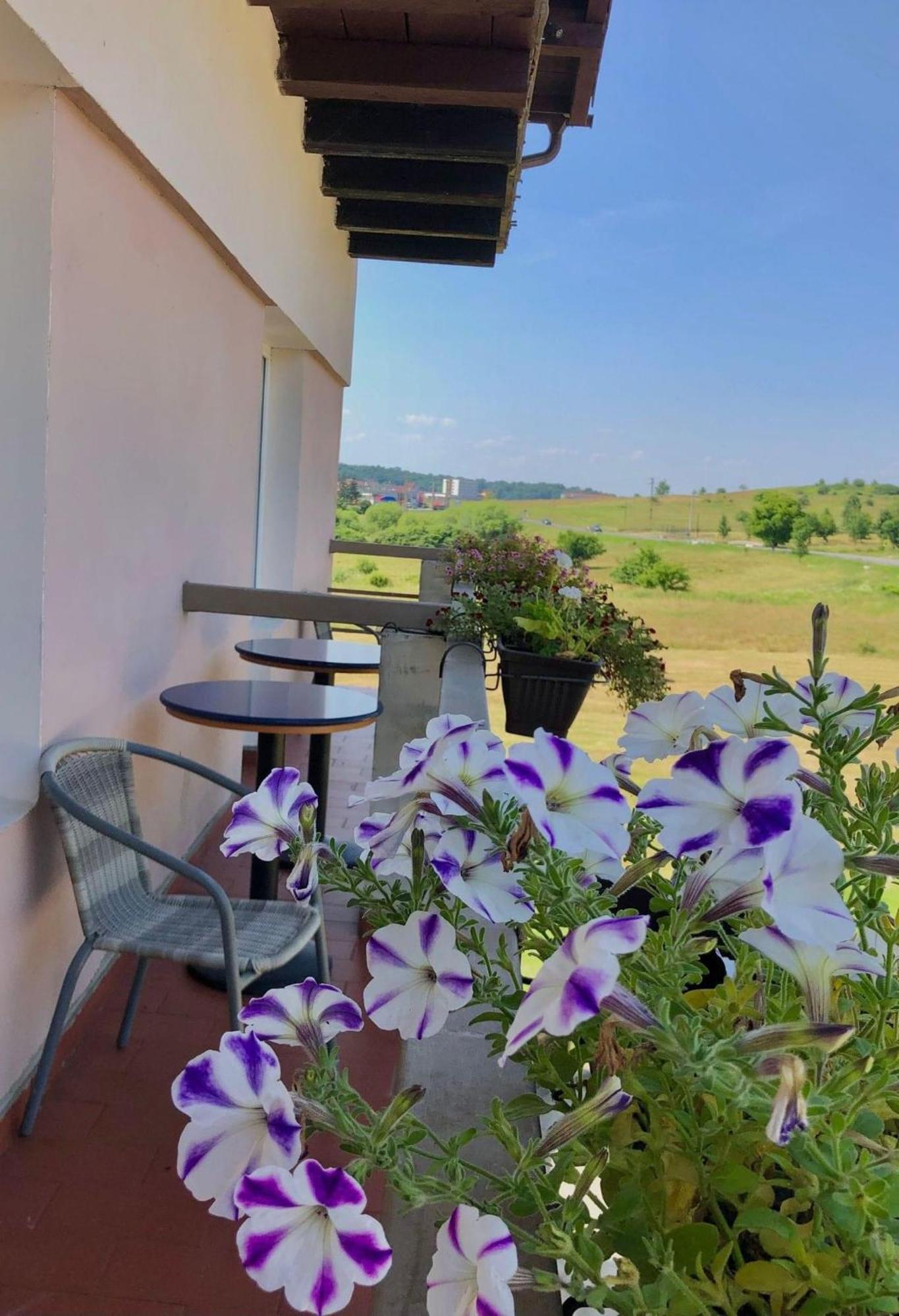 Casa Roua Hotel Félixfürdő Kültér fotó
